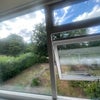 Photo 5: Room 2 garden view