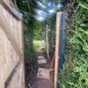 Photo 8: Garden access to woodland (clifton grove)