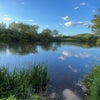 Photo 9: River trent