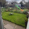 Photo 7: Garden