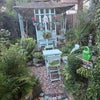 Photo 6: Garden