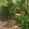 Photo 5: Sunny garden