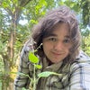 Photograph of Bee