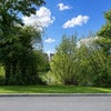 Photo 7: View
