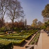 Photo 10: Holland Park 