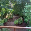 Photo 7: garden