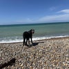 Photo 2: Our wonderful beach 