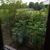 Photo 2: view from your bedroom