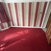 Photo 5: Room