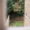 Photo 7: Garden 