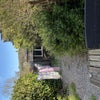 Photo 8: Garden