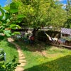 Photo 6: Sunny garden (lots of apples in late summer)