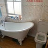 Photo 8: A + B - Shared Bathroom 