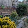 Photo 4: Garden