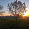 Photo 5: Brockwell Park