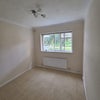 Photo 3: Room to rent
