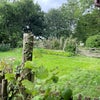 Photo 9: Private garden