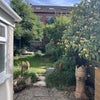 Photo 5: Sunny Garden