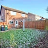 Photo 2: Back garden 