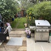 Photo 7: Garden 