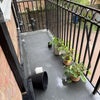 Photo 7: balcony