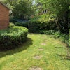 Photo 3: Garden