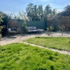 Photo 5: More garden 