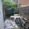 Photo 6: Yard area 