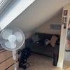 Photo 3: Bedroom