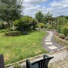 Photo 6: Garden