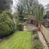 Photo 4: Shared garden (second half)