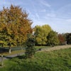 Photo 11: Springfield Park