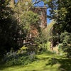 Photo 9: Garden