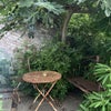Photo 6: Garden