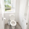 Photo 8: toilet downstairs