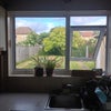 Photo 6: View of garden from kitchen