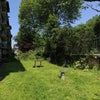 Photo 11: Garden