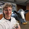 Photo 2: This is me with a fake cow at a cheddar-maker in Somerset the other day.