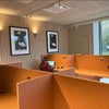 Photo 5: study area