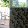 Photo 3: Bedroom outside space