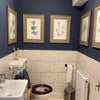 Photo 9: Downstairs bathroom 