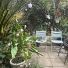 Photo 8: Garden 