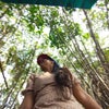 Deepshikha\'s picture