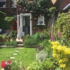 Photo 5: Garden