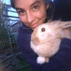 Photo 3: My old bunny Flapjack