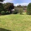 Photo 9: Garden