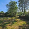 Photo 9: Veiw of garden from living room