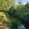 Photo 7: River in garden