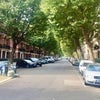 Photo 3: Road