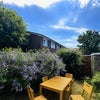 Photo 15: GARDEN